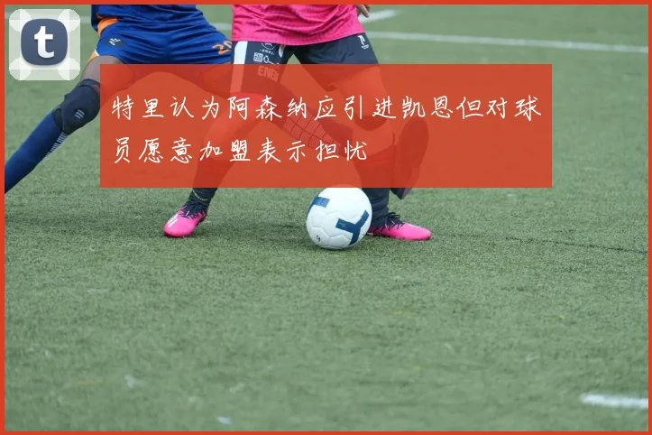 特里认为阿森纳应引进凯恩但对球员愿意加盟表示担忧