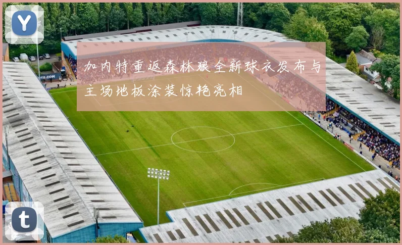 加内特重返森林狼全新球衣发布与主场地板涂装惊艳亮相